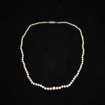 1067 6443 Pärlhalsband